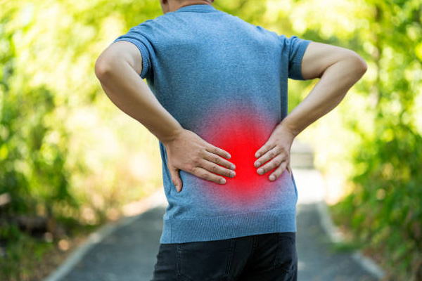 What are the key factors for a healthy and pain-free back?